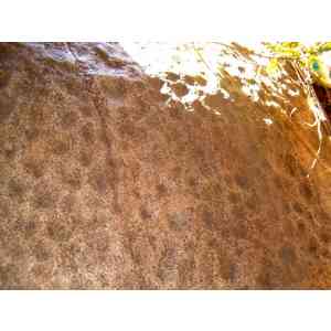 Click para ampliar. Pulsa en el nombre para ver la ficha. Cazoletas de la