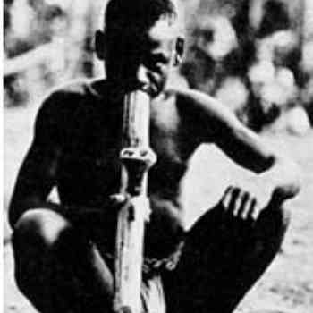 Click para ampliar. Pulsa en el nombre para ver la ficha. Pigmeo