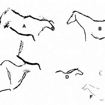 Click para ampliar. Pulsa en el nombre para ver la ficha. Siega Verde, P10-2