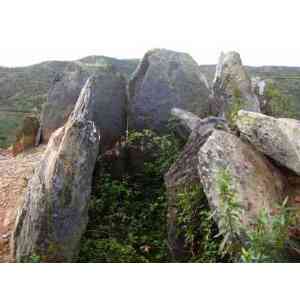 Click para ampliar. Pulsa en el nombre para ver la ficha. Anta das Pedras Altas