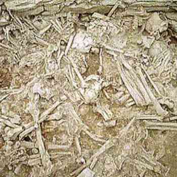 Click para ampliar. Pulsa en el nombre para ver la ficha. Hipogeo de Longar - Huesos