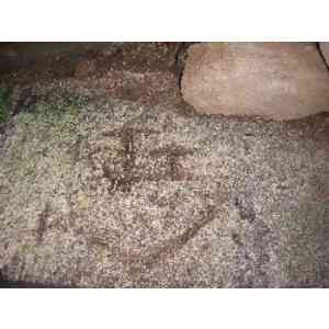 Click para ampliar. Pulsa en el nombre para ver la ficha. Augas Santas-Petroglifo