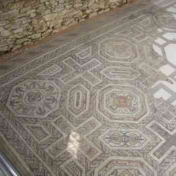 Click para ampliar. Pulsa en el nombre para ver la ficha. Veranes. Asturias. Mosaico oecus 2