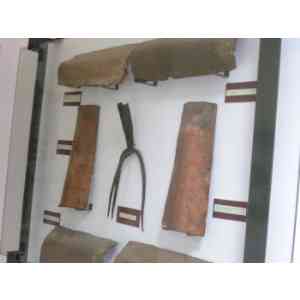 Click para ampliar. Pulsa en el nombre para ver la ficha. Teyas