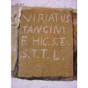 Click para ampliar. Pulsa en el nombre para ver la ficha. Ara de Viriato 2