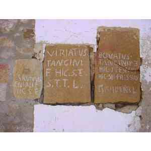 Click para ampliar. Pulsa en el nombre para ver la ficha. Ara de Viriato 3