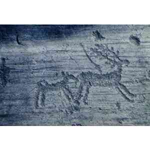 Click para ampliar. Pulsa en el nombre para ver la ficha. Ciervos