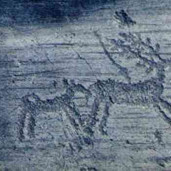 Click para ampliar. Pulsa en el nombre para ver la ficha. Ciervos