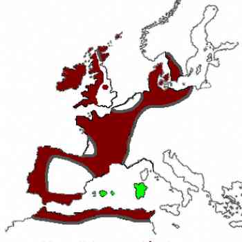 Click para ampliar. Pulsa en el nombre para ver la ficha. El megalitismo en europa y norte de africa