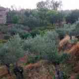 Click para ampliar. Paisaje <I>sanjuaniego</I> jurdano.