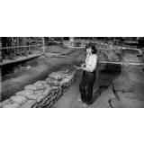 Click para ampliar. Pulsa en el nombre para ver la ficha. NECROPOLIS DE FORUA San Martín de Tours