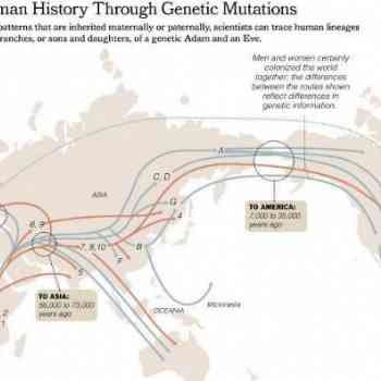 Expansión de mtDNA y cromosoma-y
