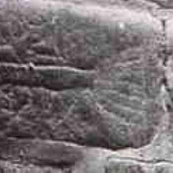 Click para ampliar. Pulsa en el nombre para ver la ficha. pez (fragmento)