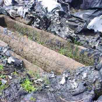 Click para ampliar. Pulsa en el nombre para ver la ficha. Miliario cubierto de basura