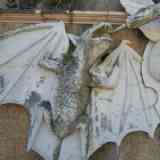 Click para ampliar. Vampiro