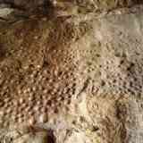 Click para ampliar. Cueva de  la Santa Cruz, cazoletas-Soria