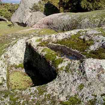 Click para ampliar. Pulsa en el nombre para ver la ficha. Cancho los ojos3