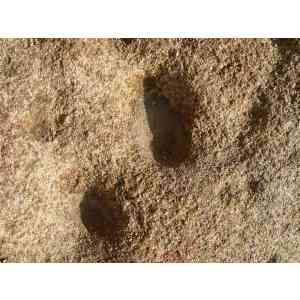 Click para ampliar. Pulsa en el nombre para ver la ficha. Cazoletas en granitos