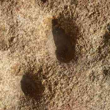 Click para ampliar. Pulsa en el nombre para ver la ficha. Cazoletas en granitos