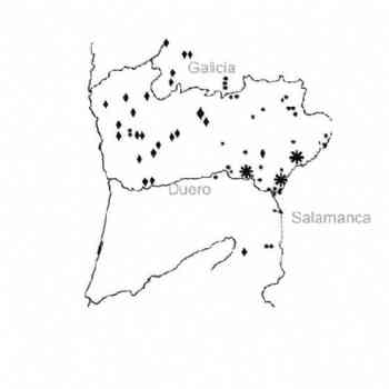 Distribución de verracos en el norte de Portugal
