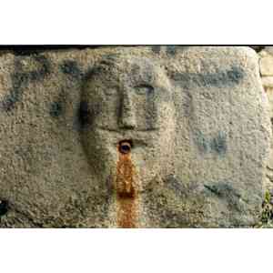 Click para ampliar. Pulsa en el nombre para ver la ficha. Cabeza cortada-Llivia