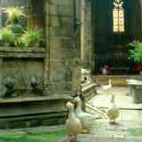 Click para ampliar. Ocas de Santa Eulalia