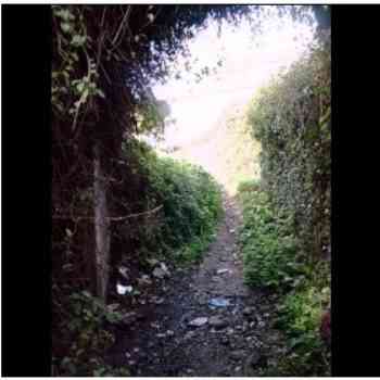 Click para ampliar. Pulsa en el nombre para ver la ficha. Anfiteatro de Lucus Augusti X