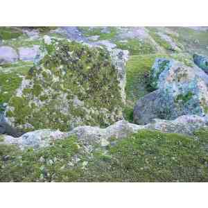 Click para ampliar. Pulsa en el nombre para ver la ficha. Cantera romana 2