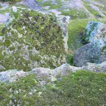 Click para ampliar. Pulsa en el nombre para ver la ficha. Cantera romana 2