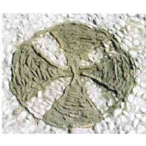 Click para ampliar. Pulsa en el nombre para ver la ficha. Cruces trinitarias en las excavaciones de Libisosa