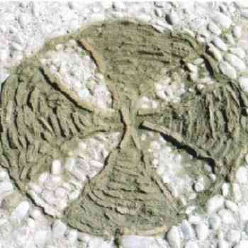 Click para ampliar. Pulsa en el nombre para ver la ficha. Cruces trinitarias en las excavaciones de Libisosa