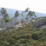 Click para ampliar. Os Corregosos