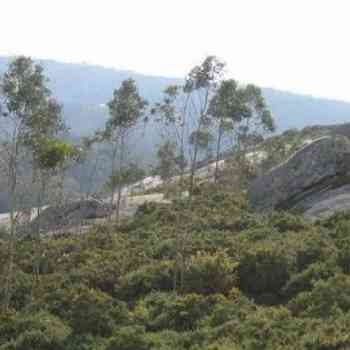 Click para ampliar. Pulsa en el nombre para ver la ficha. Os Corregosos