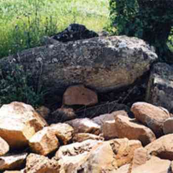 Click para ampliar. Pulsa en el nombre para ver la ficha. Dolmen el Juncoso II - La Cardenchosa- foto 2