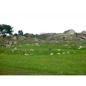 Click para ampliar. Pulsa en el nombre para ver la ficha. Vicus tardorromano de