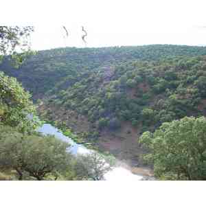 Click para ampliar. Pulsa en el nombre para ver la ficha. Riberos del Almonte