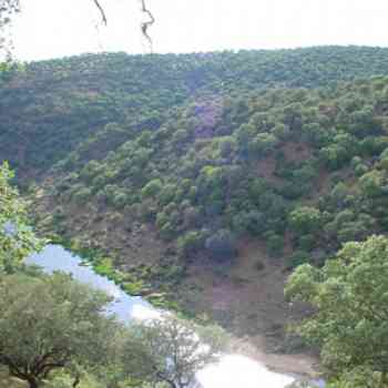 Click para ampliar. Pulsa en el nombre para ver la ficha. Riberos del Almonte