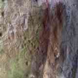 Click para ampliar. Cueva de  la Santa Cruz, cazoletas 5-Soria