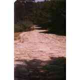 Click para ampliar. Pulsa en el nombre para ver la ficha. Calzada Romana de Cerdedilla