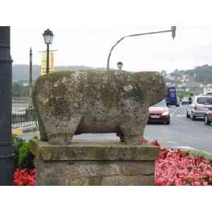 Click para ampliar. Pulsa en el nombre para ver la ficha. Verraco Pontedeume 1