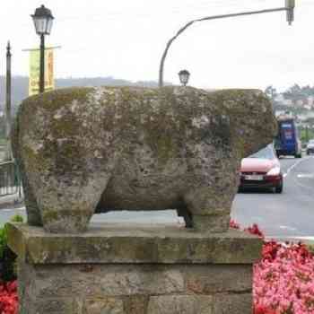 Click para ampliar. Pulsa en el nombre para ver la ficha. Verraco Pontedeume 1