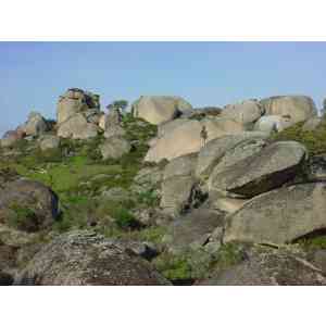 Click para ampliar. Pulsa en el nombre para ver la ficha.