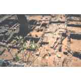 Click para ampliar. Pulsa en el nombre para ver la ficha. Cardo