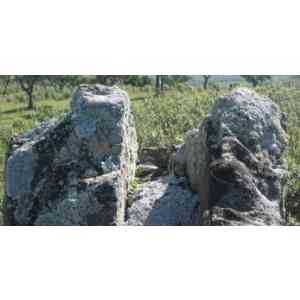 Membrío - Menhir de la Sierra de Clavería (Detalle)