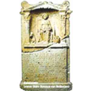 Click para ampliar. Pulsa en el nombre para ver la ficha. Nehalenia de Leiden