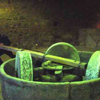 Click para ampliar. Pulsa en el nombre para ver la ficha. Mola olearia romana