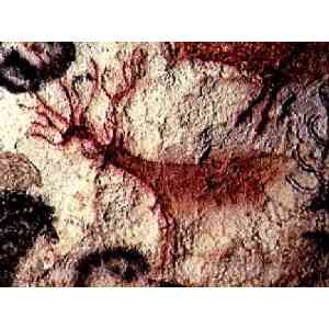 Click para ampliar. Pulsa en el nombre para ver la ficha. Ciervo