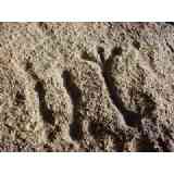 Click para ampliar. Pulsa en el nombre para ver la ficha. Antropomorfo de