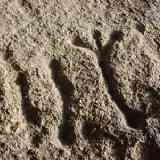 Click para ampliar. Antropomorfo de