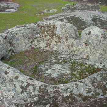 Click para ampliar. Pulsa en el nombre para ver la ficha. Prensa olearia de